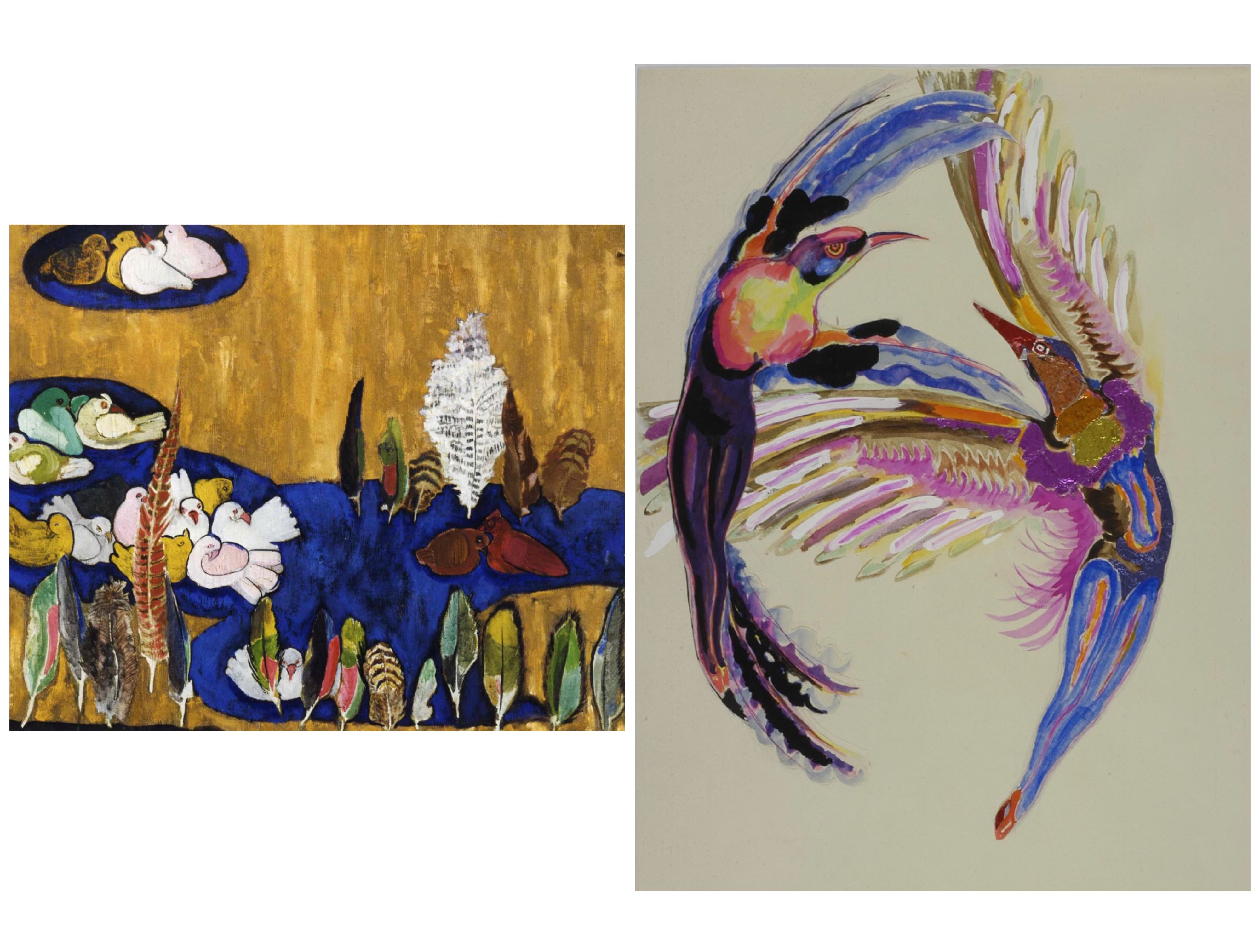 Landscape with ducks and pigeons. Two birds facing each other in the air.